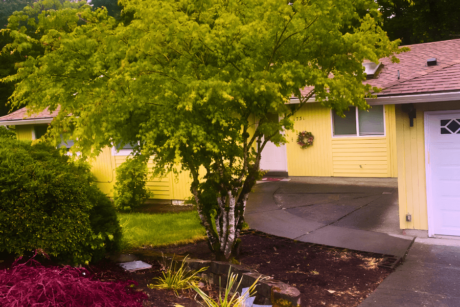 Front View — Bright exterior of our Dani Care home, with a welcoming entrance and a peaceful setting.